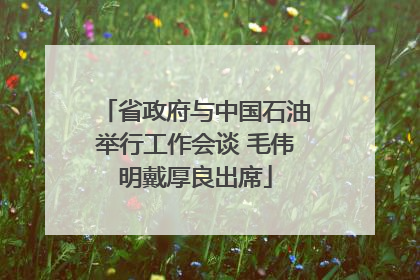 省政府与中国石油举行工作会谈 毛伟明戴厚良出席